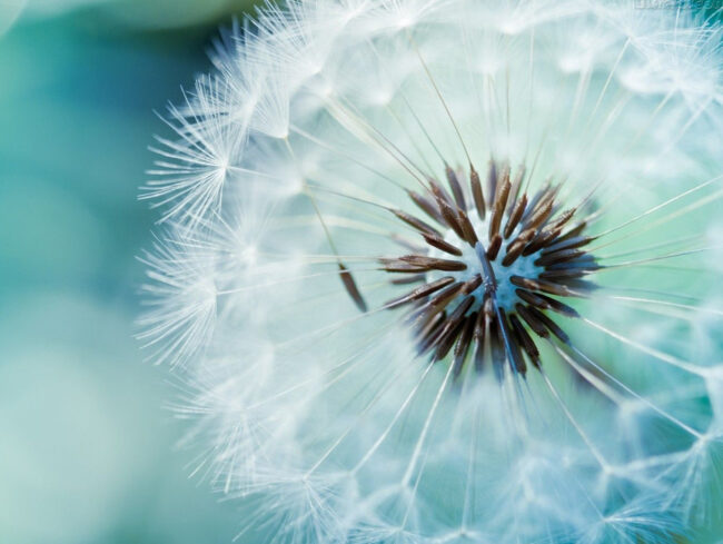 encontros_com_a_saude