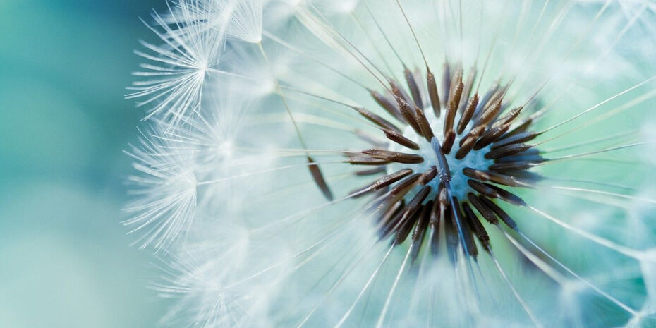 encontros_com_a_saude