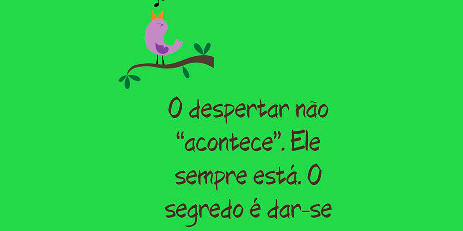 A certeza incerta do DESPERTAR A certeza incerta do DESPERTAR