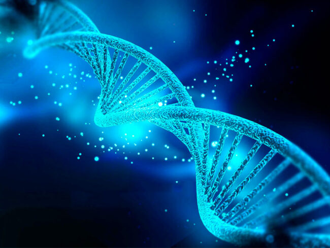 A misteriosa inteligência inata A misteriosa inteligência inata