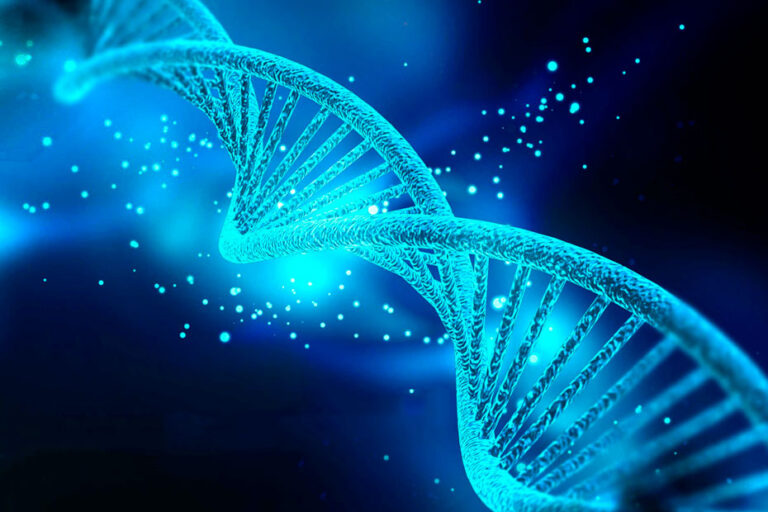 A misteriosa inteligência inata