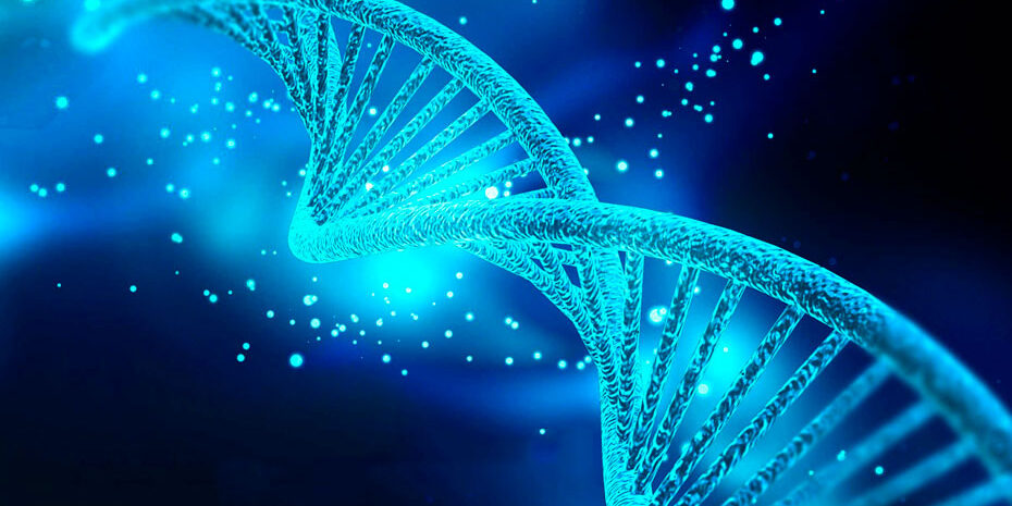 A misteriosa inteligência inata