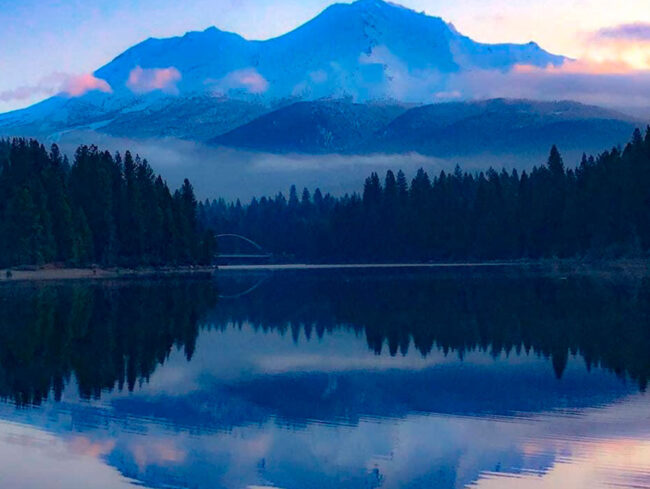 Atenção Plena na Raiva