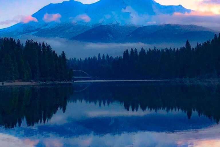 Atenção Plena na Raiva