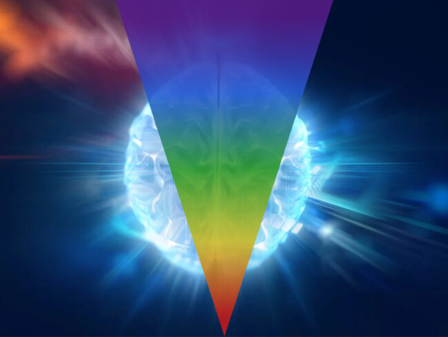 ESCALA HAWKINS DA CONSCIÊNCIA