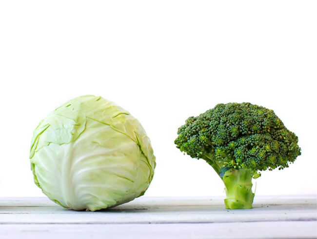 Saiba como proteger seus vasos sanguíneos Saiba como proteger seus vasos sanguíneos