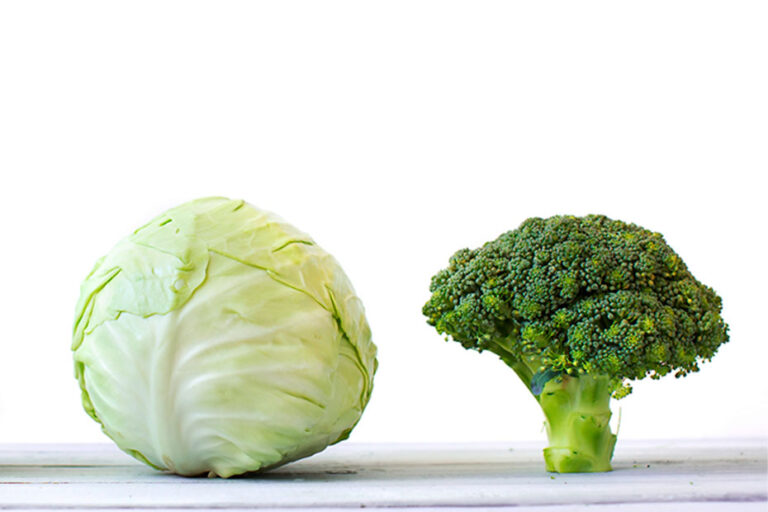 Saiba como proteger seus vasos sanguíneos