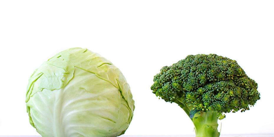 Saiba como proteger seus vasos sanguíneos